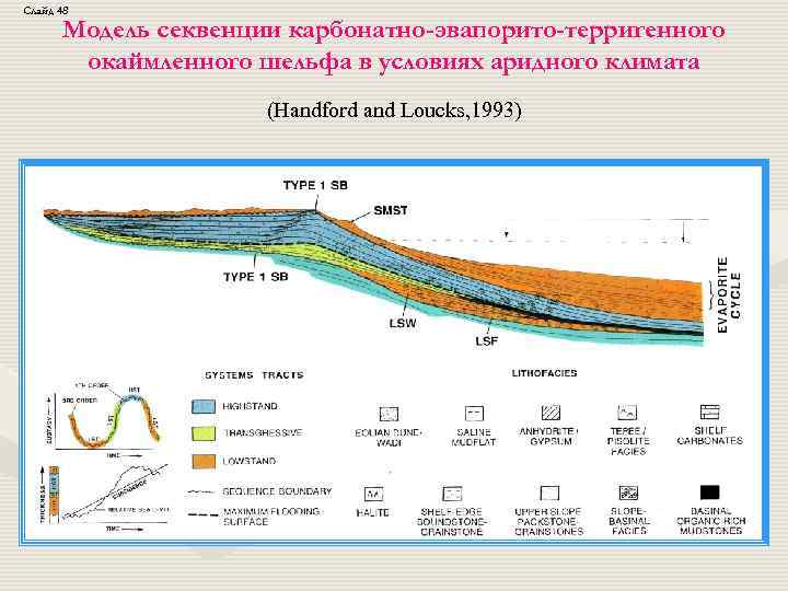 Слайд 48 Модель секвенции карбонатно-эвапорито-терригенного окаймленного шельфа в условиях аридного климата (Handford and Loucks,