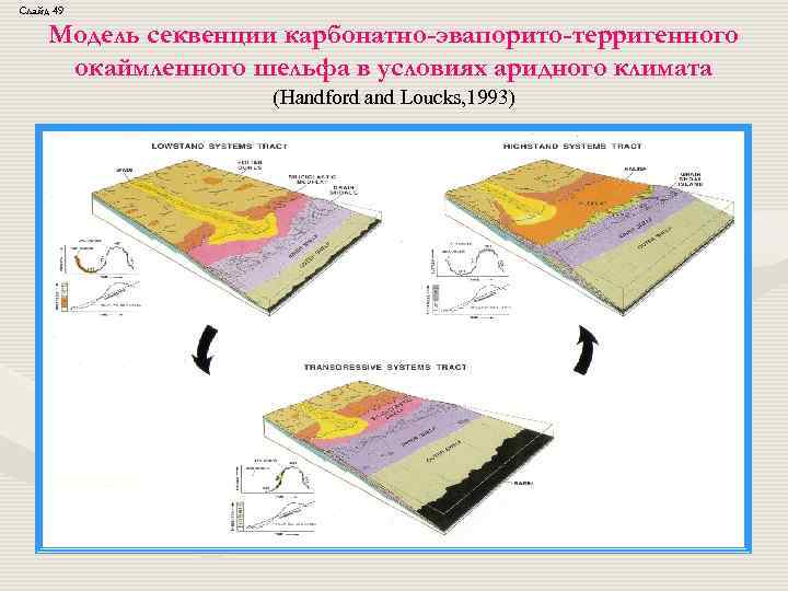 Слайд 49 Модель секвенции карбонатно-эвапорито-терригенного окаймленного шельфа в условиях аридного климата (Handford and Loucks,