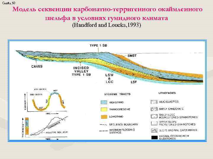 Слайд 50 Модель секвенции карбонатно-терригенного окаймленного шельфа в условиях гумидного климата (Handford and Loucks,