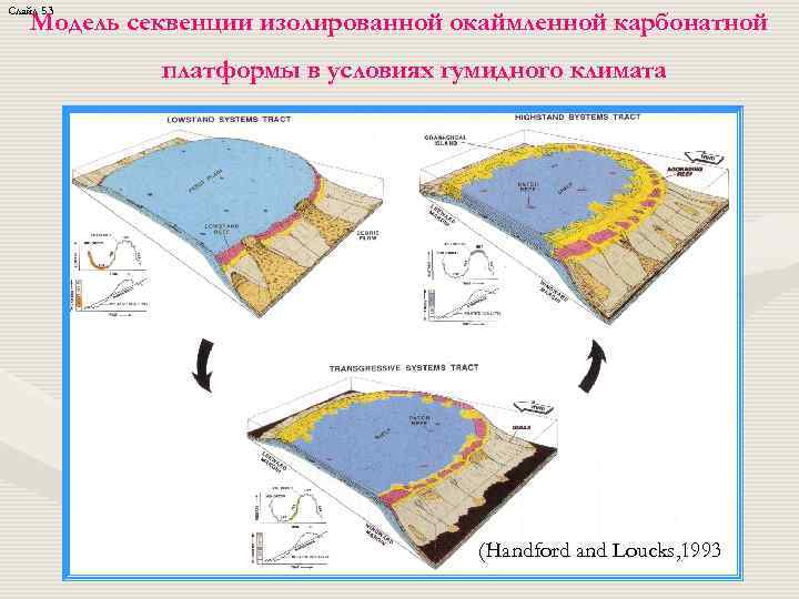 Слайд 53 Модель секвенции изолированной окаймленной карбонатной платформы в условиях гумидного климата (Handford and