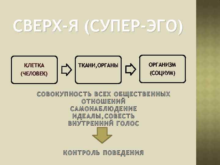 СВЕРХ-Я (СУПЕР-ЭГО) КЛЕТКА ТКАНИ, ОРГАНЫ ОРГАНИЗМ (СОЦИУМ) (ЧЕЛОВЕК) СОВОКУПНОСТЬ ВСЕХ ОБЩЕСТВЕННЫХ ОТНОШЕНИЙ САМОНАБЛЮДЕНИЕ ИДЕАЛ