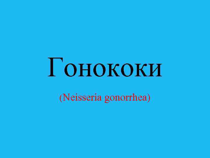 Гонококи (Neisseria gonorrhea) 