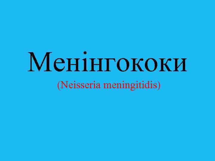 Менінгококи (Neisseria meningitidis) 