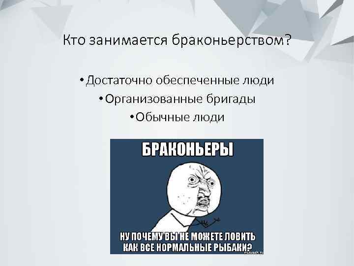 Кто занимается браконьерством? • Достаточно обеспеченные люди • Организованные бригады • Обычные люди 