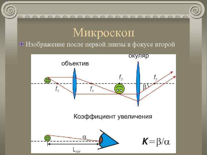 Основы оптики. Линза микроскопа изображение. В оптическом микроскопе изображение после объектива. Изображение на втором фокусе. Второй фокус объектива микроскопа.