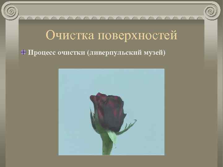 Очистка поверхностей Процесс очистки (ливерпульский музей) 