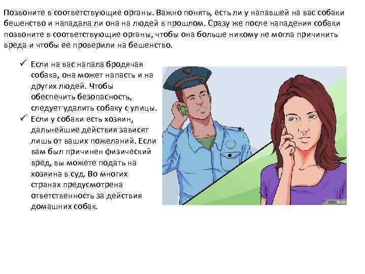 Позвоните в соответствующие органы. Важно понять, есть ли у напавшей на вас собаки бешенство