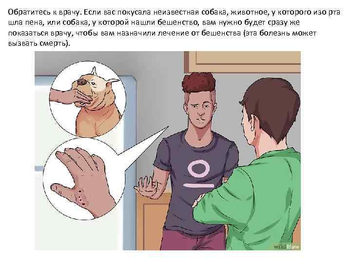 Обратитесь к врачу. Если вас покусала неизвестная собака, животное, у которого изо рта шла