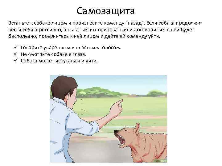 Самозащита Встаньте к собаке лицом и произнесите команду "назад". Если собака продолжит вести себя