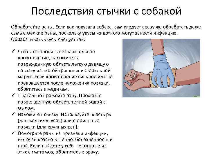 Последствия стычки с собакой Обработайте раны. Если вас покусала собака, вам следует сразу же