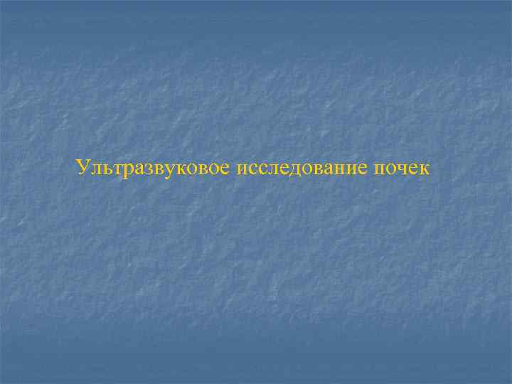 Ультразвуковое исследование почек 