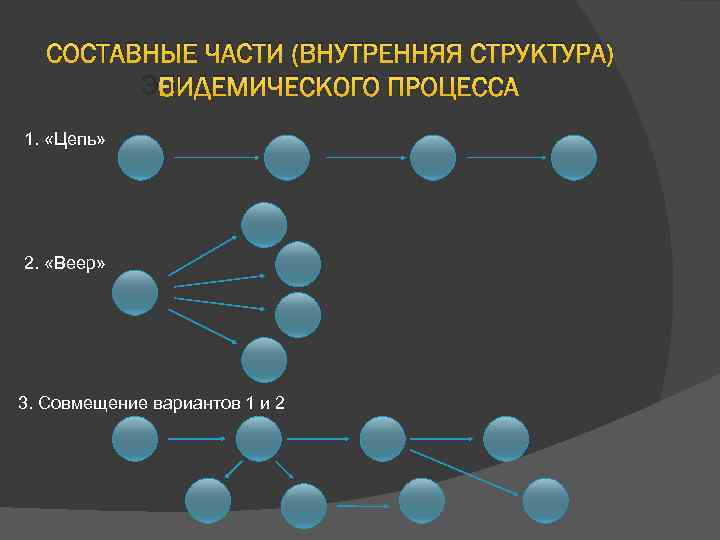 СОСТАВНЫЕ ЧАСТИ (ВНУТРЕННЯЯ СТРУКТУРА) ЭПИДЕМИЧЕСКОГО ПРОЦЕССА 1. «Цепь» 2. «Веер» 3. Совмещение вариантов 1