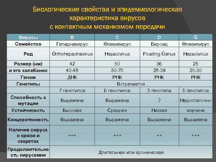 Биологические свойства и эпидемиологическая характеристика вирусов с контактным механизмом передачи Вирусы Семейство В Гепаднавирус