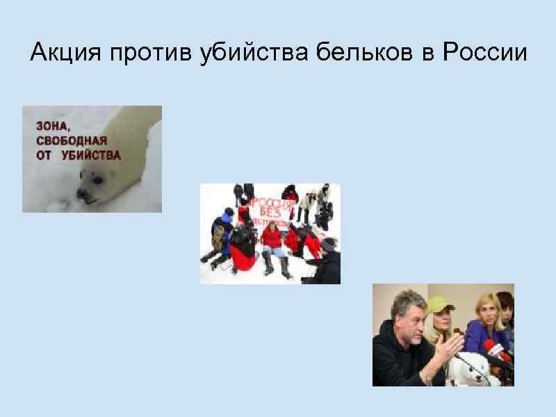 Акция против убийства бельков в России 