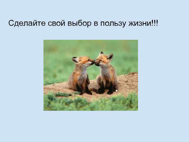 Сделайте свой выбор в пользу жизни!!! 