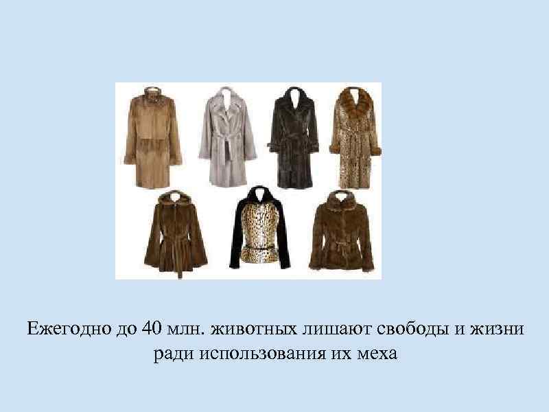 Ежегодно до 40 млн. животных лишают свободы и жизни ради использования их меха 