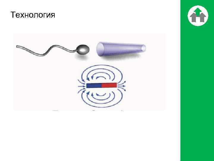 Технология 