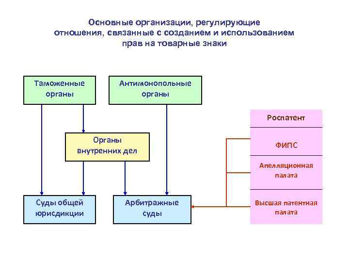 Основные организации, регулирующие отношения, связанные с созданием и использованием прав на товарные знаки Таможенные