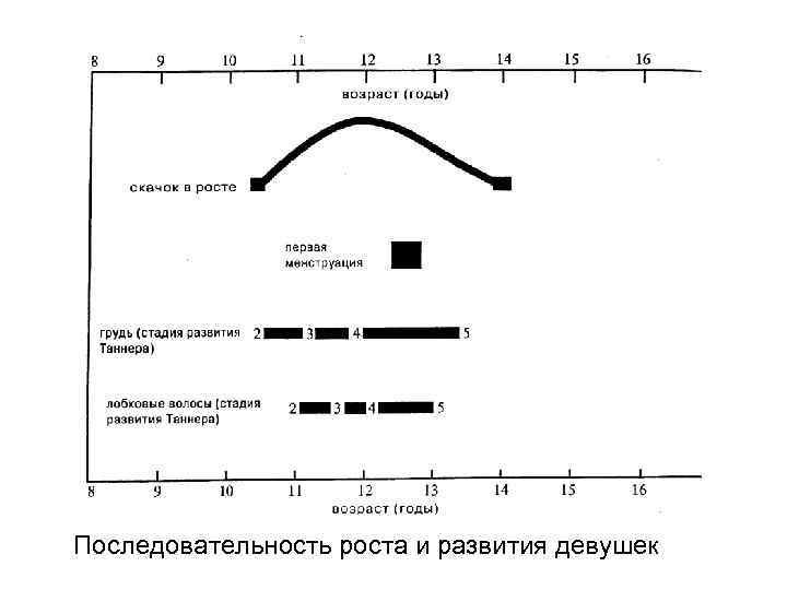 Последовательность роста и развития девушек 