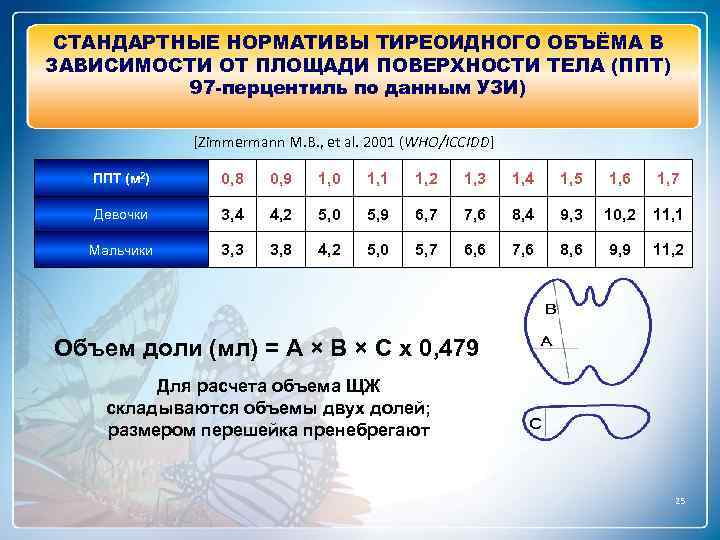 СТАНДАРТНЫЕ НОРМАТИВЫ ТИРЕОИДНОГО ОБЪЁМА В ЗАВИСИМОСТИ ОТ ПЛОЩАДИ ПОВЕРХНОСТИ ТЕЛА (ППТ) 97 -перцентиль по