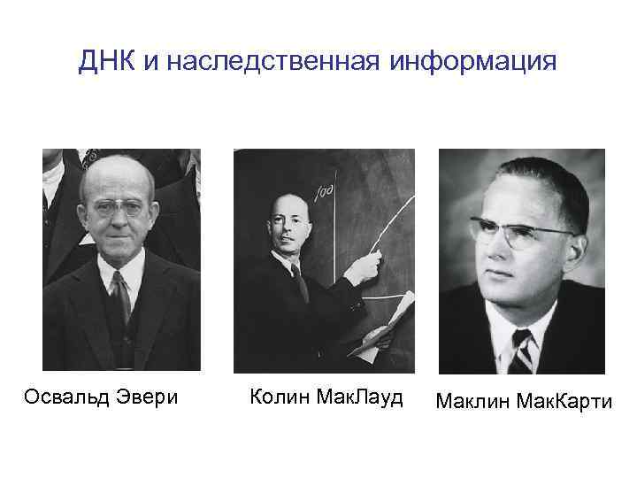 ДНК и наследственная информация Освальд Эвери Колин Мак. Лауд Маклин Мак. Карти 