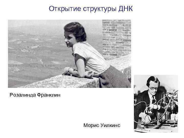 Открытие структуры ДНК Розалинда Франклин Морис Уилкинс 