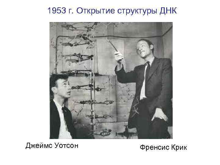 1953 г. Открытие структуры ДНК Джеймс Уотсон Френсис Крик 
