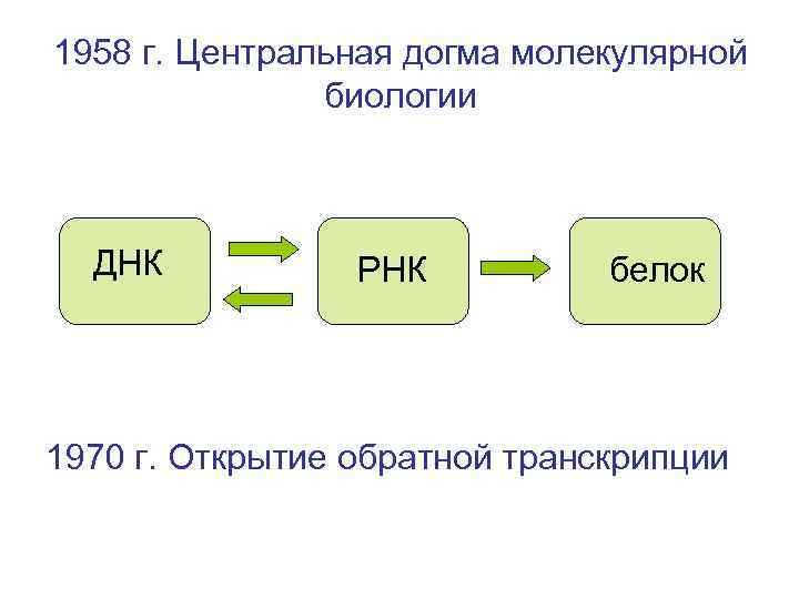 1958 г. Центральная догма молекулярной биологии ДНК РНК белок 1970 г. Открытие обратной транскрипции