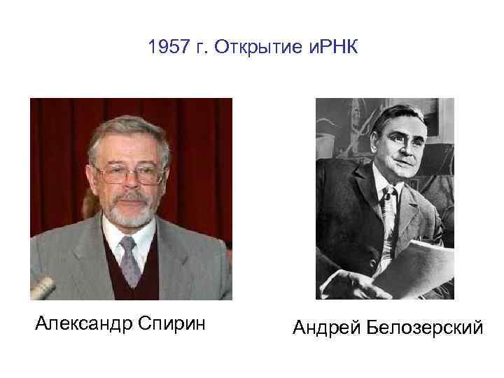 1957 г. Открытие и. РНК Александр Спирин Андрей Белозерский 