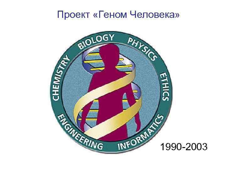 Проект «Геном Человека» 1990 -2003 