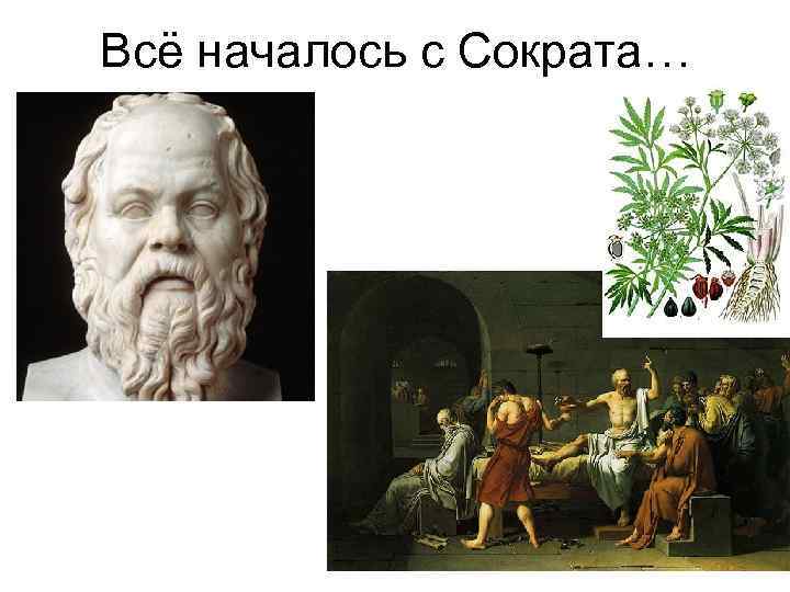 Всё началось с Сократа… 