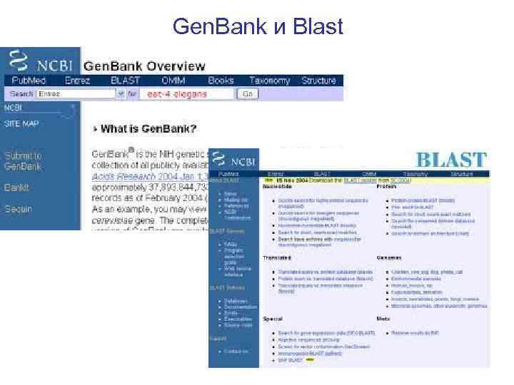 Gen. Bank и Blast 