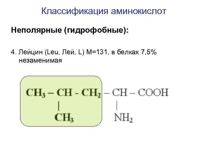 Классификация аминокислот Неполярные (гидрофобные): 4. Лейцин (Leu, Лей, L) M=131, в белках 7, 5%