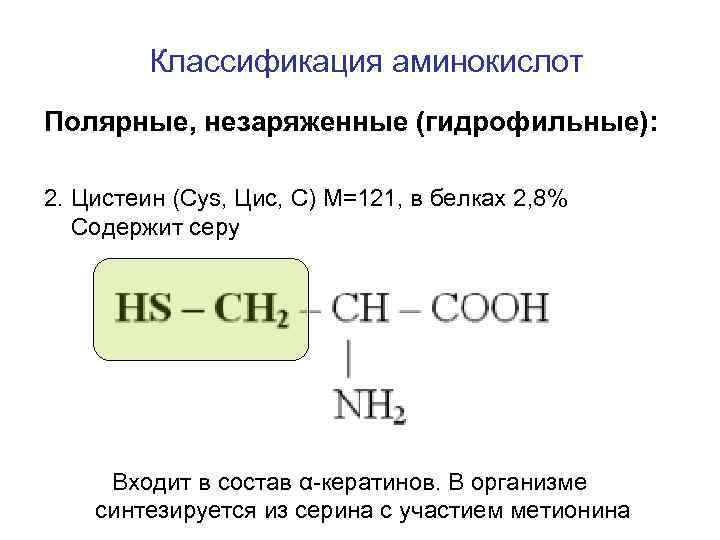 Незаряженные аминокислоты. Полярные незаряженные аминокислоты. Полярные гидрофильные аминокислоты. Гидрофильные незаряженные аминокислоты. Незаряженные аминокислоты классификация.