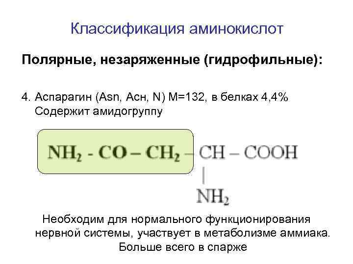 Незаряженные аминокислоты. Неполярные незаряженные аминокислоты. Классификация аминокислот Полярные. Полярные гидрофильные аминокислоты. Гидрофильные Полярные незаряженные аминокислоты.