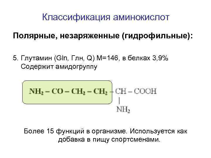 Классификация аминокислот Полярные, незаряженные (гидрофильные): 5. Глутамин (Gln, Глн, Q) M=146, в белках 3,