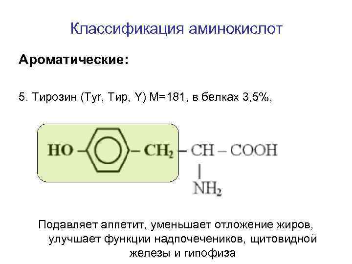 Классификация аминокислот Ароматические: 5. Тирозин (Tyr, Тир, Y) M=181, в белках 3, 5%, Подавляет