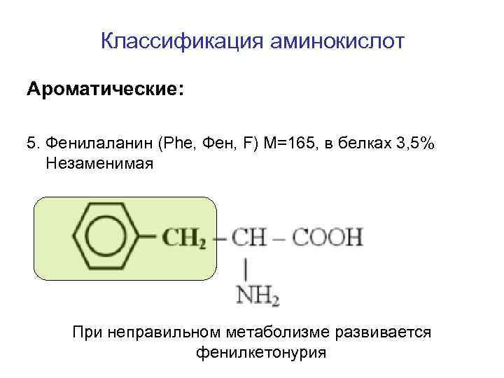 Классификация аминокислот Ароматические: 5. Фенилаланин (Phe, Фен, F) M=165, в белках 3, 5% Незаменимая