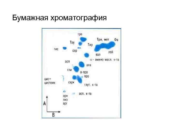 Бумажная хроматография 