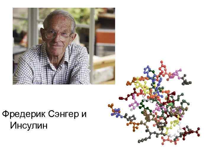 Фредерик Сэнгер и Инсулин 