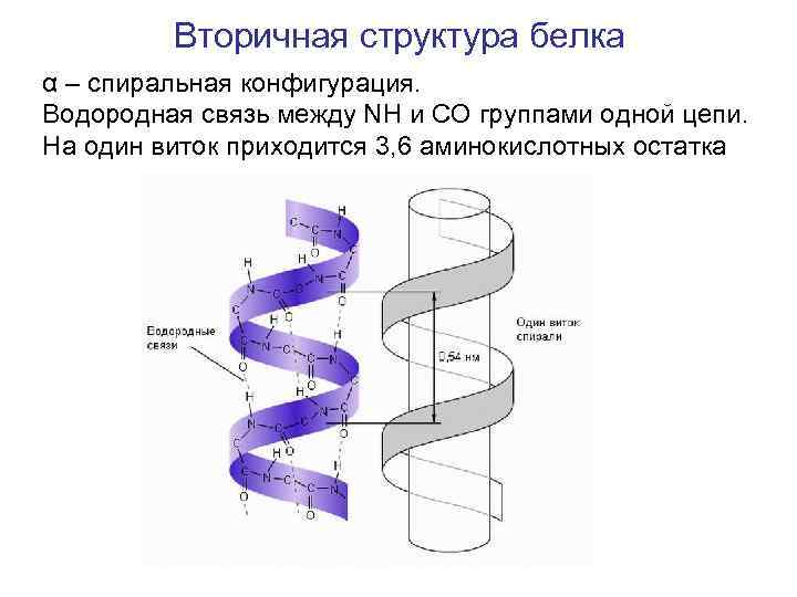 Структура спирали