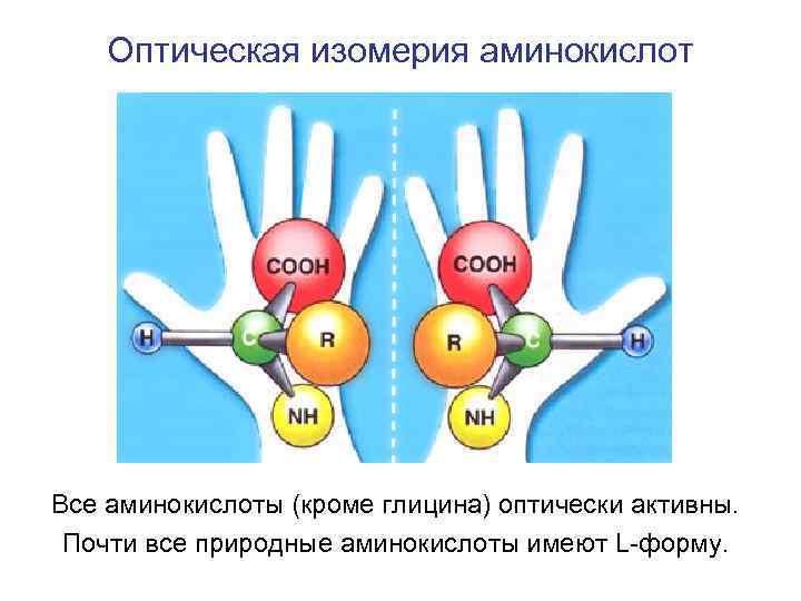 Оптические аминокислоты. Оптическая изомерия оптическая активность. Оптическая изомерия аминокислот. Оптические изомеры аминокислот. Оптическая активность аминокислот.