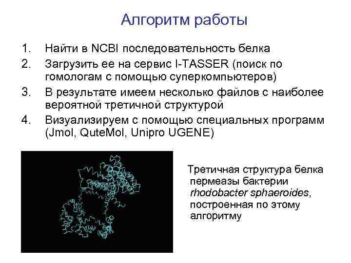 Алгоритм работы 1. 2. 3. 4. Найти в NCBI последовательность белка Загрузить ее на