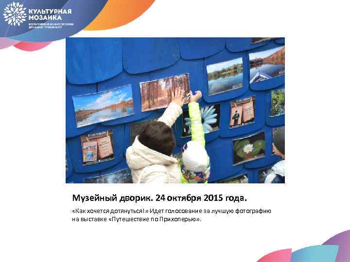 Музейный дворик. 24 октября 2015 года. «Как хочется дотянуться!» Идет голосование за лучшую фотографию
