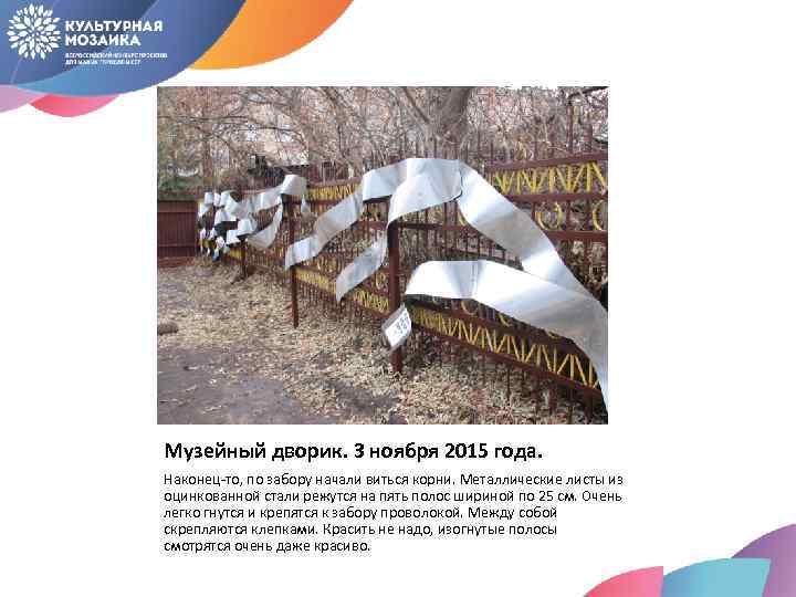 Музейный дворик. 3 ноября 2015 года. Наконец-то, по забору начали виться корни. Металлические листы