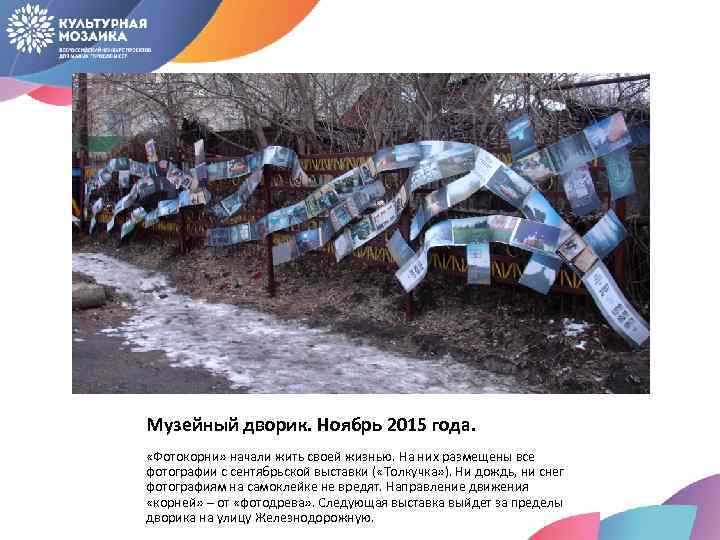 Музейный дворик. Ноябрь 2015 года. «Фотокорни» начали жить своей жизнью. На них размещены все