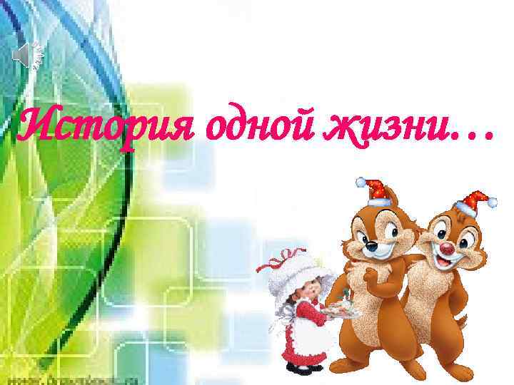 История одной жизни… 