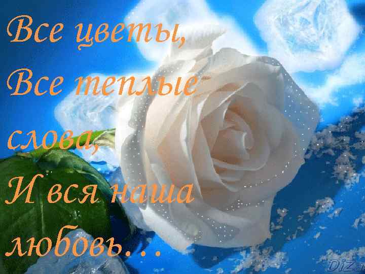 Все цветы, Все теплые слова, И вся наша любовь… 