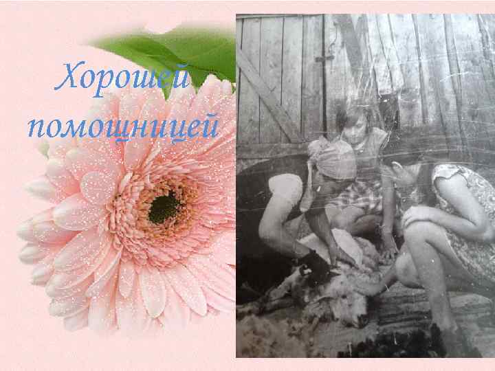 Хорошей помощницей 