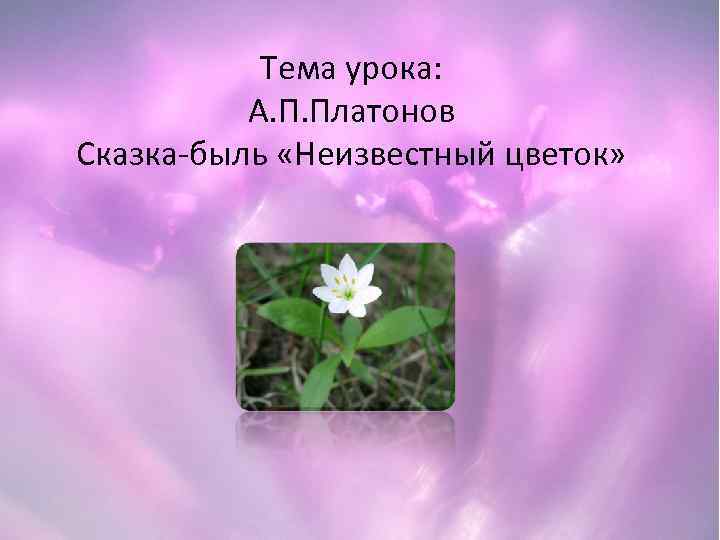 Тема урока: А. П. Платонов Сказка-быль «Неизвестный цветок» 